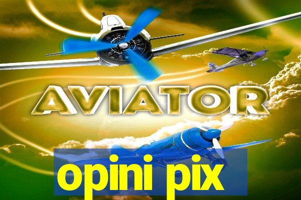 opini pix